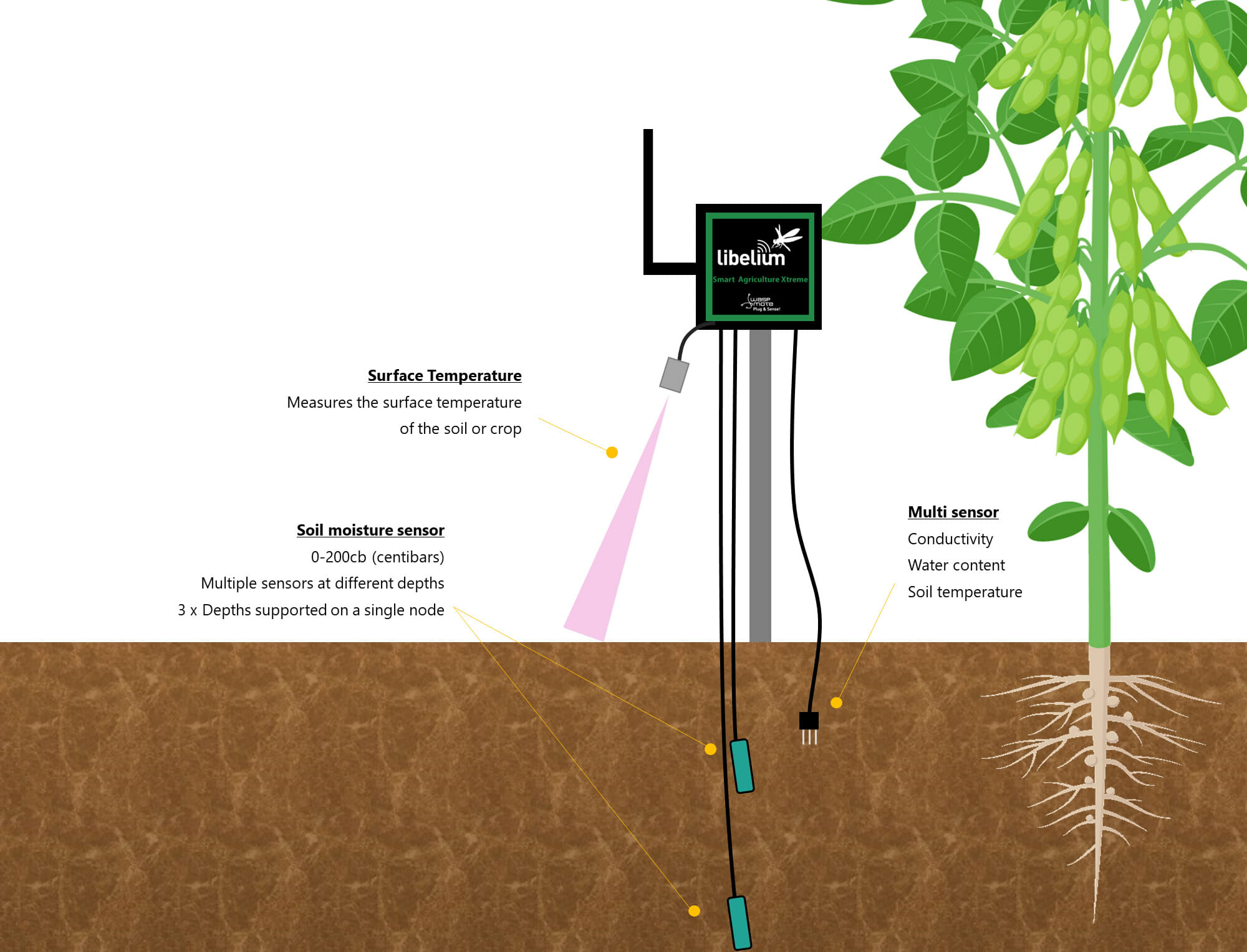 Smart Rooftop Garden Using Soil Moisture Sensor And Nodemcu Robo | Hot ...